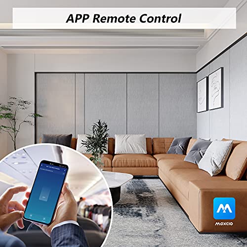 Interruptor Conmutador WiFi, Maxcio Interruptor Luz Inalámbrico 2 Vías Compatible con Alexa Echo/Dot/Tap, Google Home, Mini Relé de Interruptor Inteligente con Temporizaor, 2 Packs