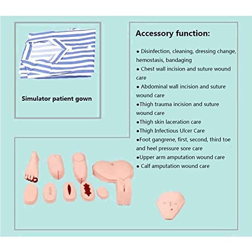 Maniquí de enfermería modelo anatómico de maniquí de entrenamiento, simulador de maniquí, simulador de atención al paciente, entrenamiento de habilidades de enfermería, suministros de enseñanza y ed