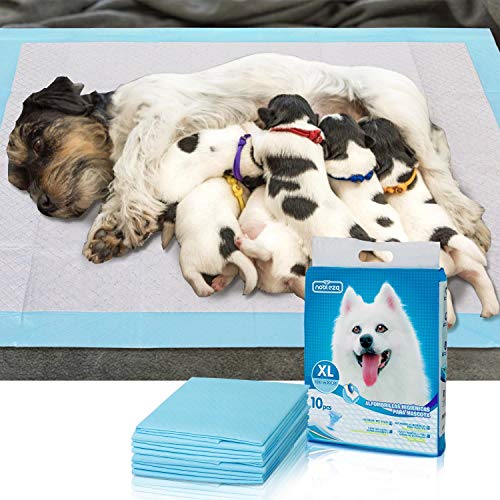 Nobleza - Empapadores Perros Alfombrilla higiénica de Entrenamiento para Perros. Ultraabsorbente 90cm*80cm