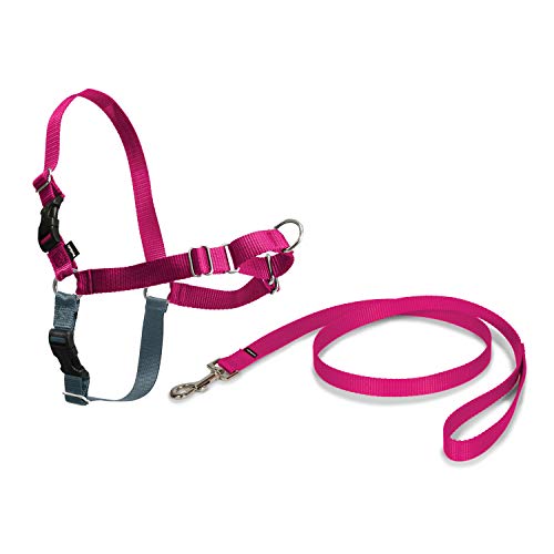 PetSafe Easy Walk, Arnés para Perros Pequeños / Perros Medianos / Perros Grandes, Color Rosa, Correa de 1,8 m, Tamaño M