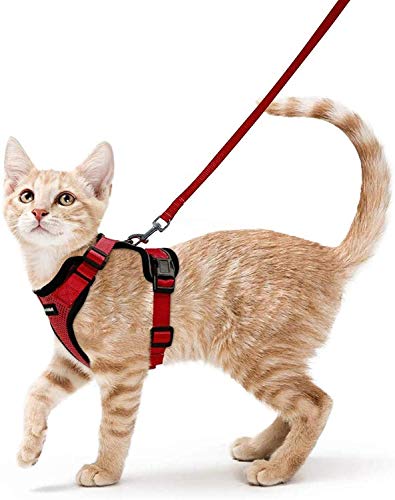 rabbitgoo Arnes Gato Antiescape,Arnés para Gato con Correa 150CM Arnes Gato Ajustable con Reflectantes de Tela de Malla Suave y Transpirable para Caminar,Entrenar,Gato Mediano y Pequeño XS Rojo