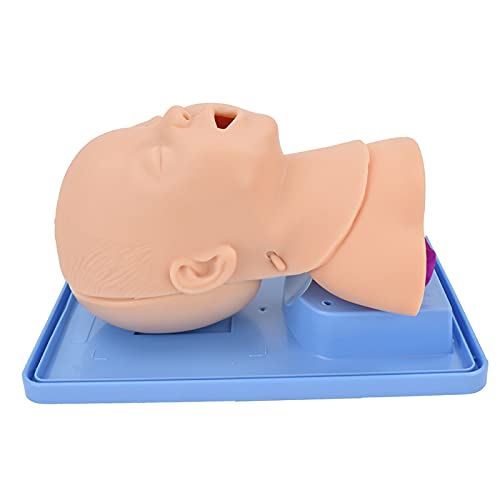 WSXKA Maniquí de intubación pediátrico, maniquí de intubación de PVC, Entrenador de manejo de vías respiratorias Maniquí traqueal Infantil para demostración médica