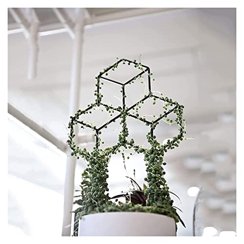 2 Paquete Metal Garden Trellis Negro Recubierto Mox Moho Respubierto Trellis Interior Al aire libre Plantas de escalada en macetas Flor Verduras Rose Vid Pea Ivy Hiedra Pepinos Jardín Arco Jardín Arc