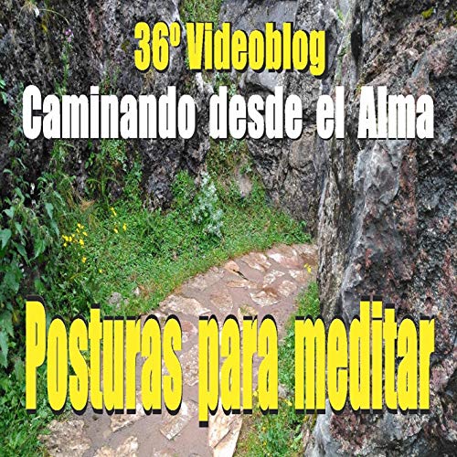 36º Videoblog. Posturas para meditar.