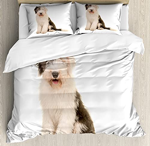 ABAKUHAUS Pastor Inglés Funda Nórdica, Sentado Bobtail, Decorativo 3 Piezas con 2 Fundas de Almohada, 230 x 220 cm - 70 x 50 cm, Champagne Topo