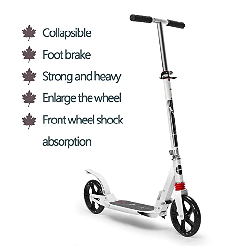 Adulto Scooter,Ajustable Plegable Scooter,Ligero Ciudad Scooter con Ruedas de PU/PuñO de Bicicleta,para Los Hombres Mujer Exterior,Foot Brake White