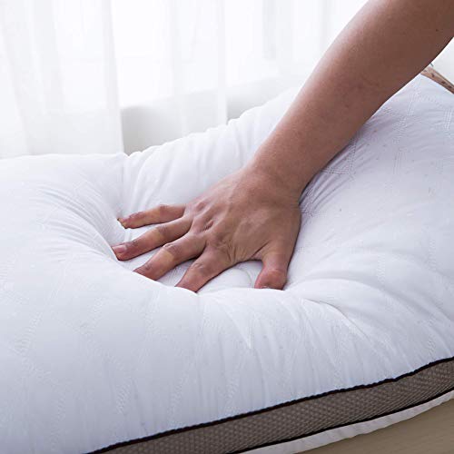 Almohada de Plumas QUANHAO, 100% algodón y algodón. Empaque 2 Almohadas de plumón de Ganso Blanco. Almohada Suave Inflable Natural de Calidad hotelera (Blanco 2 Piezas, 48x74cm)