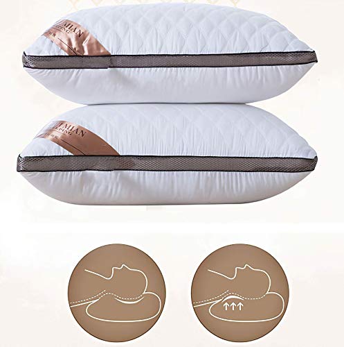 Almohada de Plumas QUANHAO, 100% algodón y algodón. Empaque 2 Almohadas de plumón de Ganso Blanco. Almohada Suave Inflable Natural de Calidad hotelera (Blanco 2 Piezas, 48x74cm)