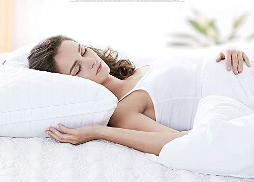 Almohada de Plumas QUANHAO, 100% algodón y algodón. Empaque 2 Almohadas de plumón de Ganso Blanco. Almohada Suave Inflable Natural de Calidad hotelera (Blanco 2 Piezas, 48x74cm)