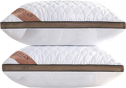 Almohada de Plumas QUANHAO, 100% algodón y algodón. Empaque 2 Almohadas de plumón de Ganso Blanco. Almohada Suave Inflable Natural de Calidad hotelera (Blanco 2 Piezas, 48x74cm)