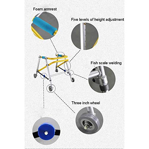 Andador para Ancianos Andador, Ayuda for Caminar de 4 Ruedas Niños, Entrenamiento, Plegable Walker, bipedestador Soporte Auxiliar, Plegable de Ajuste de Altura (Size : Medium (51.5cm-61.5cm))