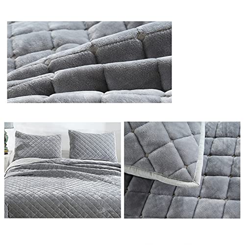 APAPA Gris anta de Franela de Lana de Coral，Súper Suaves Esponjosas para El Sofá Cama Colcha de Microfibra,tamaño Doble/Matrimonio 2 Fundas de Almohada para-Grey||270CM*234CM