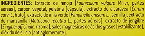 AQUILEA Gases Forte Carbon Vegetal, 60 Capsulas