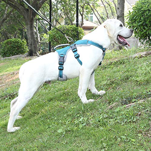 BELPRO Arnés de Apoyo Multiusos para Perro, a Prueba de Escape, Chaleco Reflectante Ajustable con Mango Duradero, arnés para Perros Grandes y Activos (Azul, L)