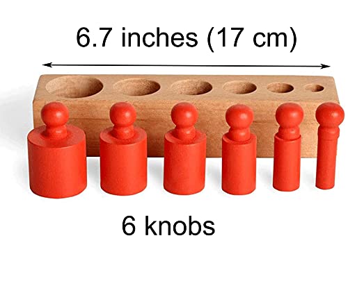 BOHS Cilindro en Miniatura Montessori con 6 perillas - 17 cm - Juguete Colorido de Madera para el hogar temprano - Juego de 4 Piezas - Edad 2.5 años y más