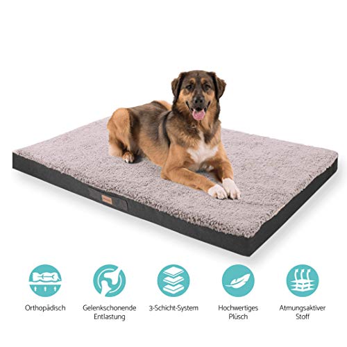 brunolie Balu Sofá para Perros Extragrande Gris, Lavable, ortopédico y Antideslizante, Cama para Perros Agradable con Espuma de Memoria Transpirable, Tamaño XXL (140 x 100 x 10 cm)