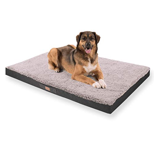 brunolie Balu Sofá para Perros Extragrande Gris, Lavable, ortopédico y Antideslizante, Cama para Perros Agradable con Espuma de Memoria Transpirable, Tamaño XXL (140 x 100 x 10 cm)