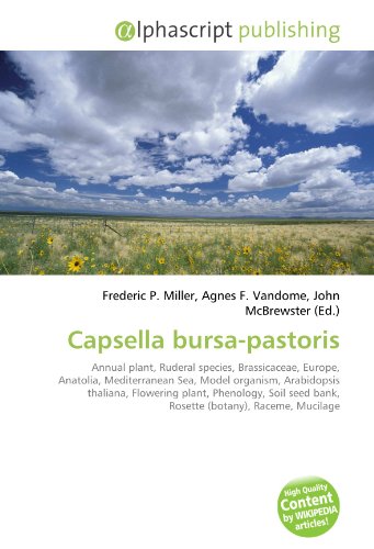 Capsella Bursa-Pastoris