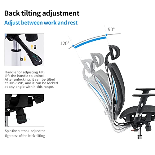 Cedric - Silla de Oficina ergonómica de Malla, Respaldo Alto con Soporte Lumbar Ajustable, reposabrazos de Poliuretano y reposacabezas y Asiento de Malla (CD-874MH)