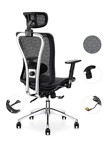 Cedric - Silla de Oficina ergonómica de Malla, Respaldo Alto con Soporte Lumbar Ajustable, reposabrazos de Poliuretano y reposacabezas y Asiento de Malla (CD-874MH)