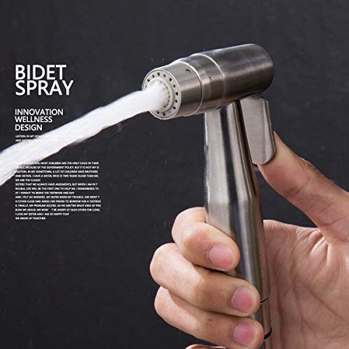 CIENCIA Mano de Grifos Bidé de Acero Inoxidable Pulverizador Shattaf - Ducha Bidé Completo de WC, Bidé Mano Pulverizador para WC, WS024AF