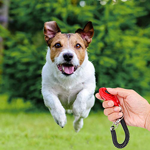 Clicker para Adiestramiento Perro, Multicolor Training Clicker con Correa para la Muñeca para Perros Gato Caballo Pajaros, 4 Piezas Pulsadores