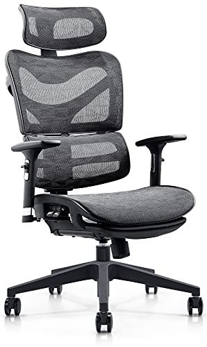 CLP Silla De Oficina Renens Ergonómica con Respaldo Ajustable & Reclinable I Silla De Ordenador Giratoria con Ruedas, Color:Negro