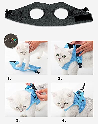 Crea CLEA - Arnés para gatos ultraligero y cómodo, con correa, bolsa de regalo incluida y un colorido juego de regalo (S, negro)