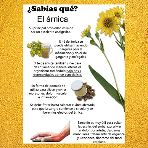 Crema Arnica | Alivia/Calma Dolores Musculares y Articulares Gracias a su Fórmula Antiinflamatoria NATURAL de Arnica | Usado por Deportistas de ÉLITE | Calidad Alemana