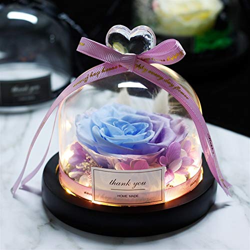 Decoración de la boda San Valentín día de fiesta de cumpleaños regalo de la belleza y la bestia Rosa Flor Eterna conservado en cristal de la bóveda plantas artificiales (Color : 05)