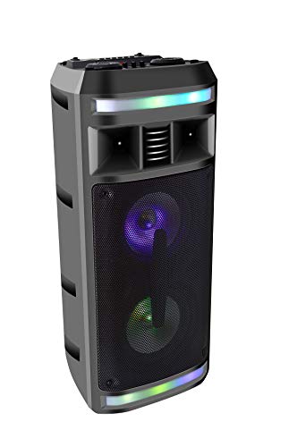 DYNASONIC - DY-65201 Altavoz Bluetooth Inalámbrico Sistema de Audio | Bluetooth, Altavoz Portatil, USB, Luces Multicolor, Radio FM, Micrófono, Color Negro