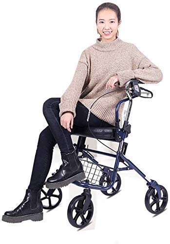 DYR Andador, Estructura para Caminar, Asiento Andador con Ruedas de Aluminio y Cesta de la Compra Andador para Abuelos, Regalos para Pacientes Ancianos, Andador estándar