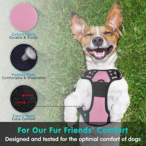 Eagloo Arnes de Perro Antitirones Cómodo Chaleco Ajustable Correa al Cuello y Pecho para Perros Grande Material Duradero Transpirable con Cinta Reflectante Adaptarse a Ejercer Externo L/Rosa