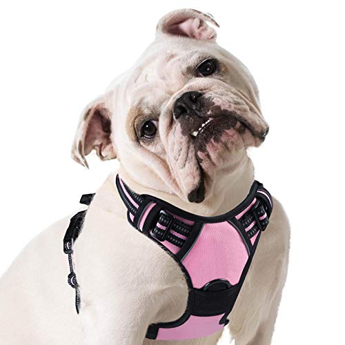 Eagloo Arnes de Perro Antitirones Cómodo Chaleco Ajustable Correa al Cuello y Pecho para Perros Grande Material Duradero Transpirable con Cinta Reflectante Adaptarse a Ejercer Externo L/Rosa