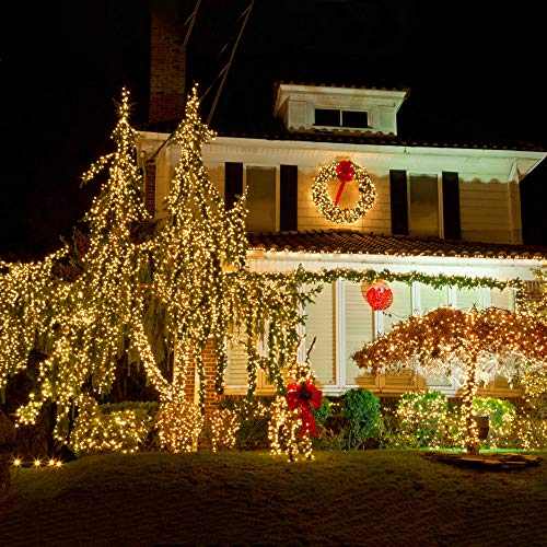 Elegear Guirnalda Luces Exterior 50 M/2000 LED Luces Navidad exterior, Guirnalda Decoracion con 8 Modo para Arboles de Navidad, Fiestas, Jardines,Casa,etc. (2000LED*50M)