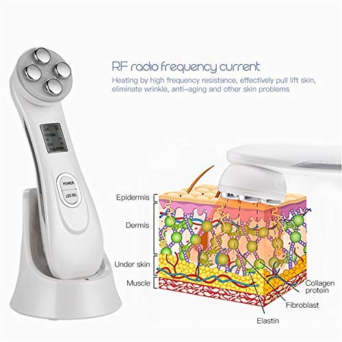 Face Skin EMS Mesoterapia Electroporación RF Radio Frecuencia Facial LED Fotón Dispositivo de Cuidado de la Piel Cara Levantamiento Apriete la Herramienta de Belleza