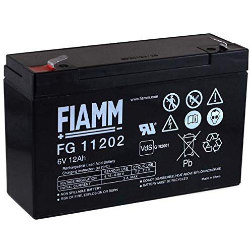 FIAMM Recambio de Batería para Vehículos para niños Coche Infantil Quad 6V 12Ah (Reemplaza también 10Ah)