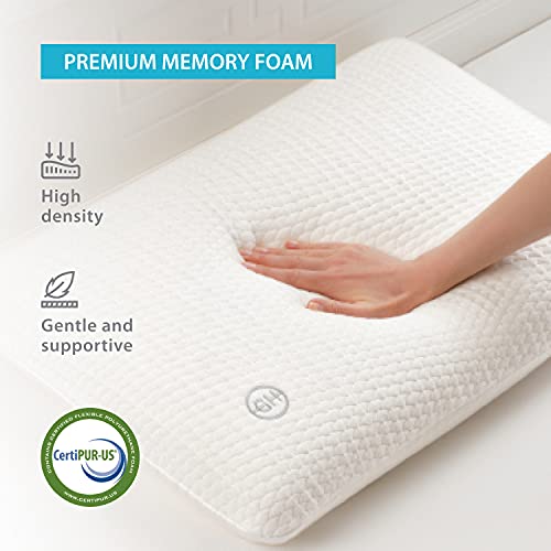 GH Almohada Ventilada de Memory Foam 60X40│Tamaño Ortopédica Ergonómica de Apoyo Cervical Ventilada con Funda Almohada de Bambú Hipoalergénica Certipur Extraíble y Lavable