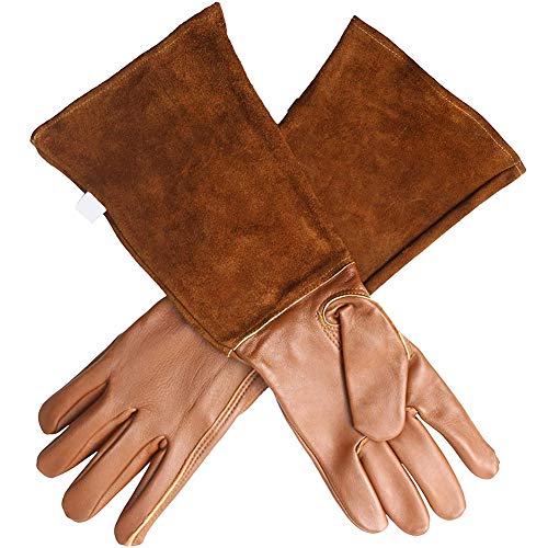 Guantes De Poda De Rosa Guantes De Cuero Jardinería Soldadura Guantelets Thorn a Prueba De Antearreves Largo Antebrazo Protección Resistente Al Calor L 1 Par Resistente a La Escaldad