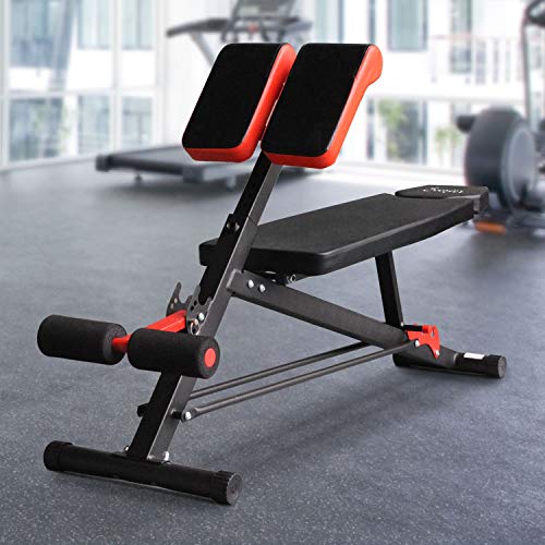 HOMCOM Banco de Mancuerna Inclinable con 4 Niveles de Altura Ajustable Banco de Pesas Musculación Multifuncional para Entrenamiento Completo 64x146x73.5-85cm