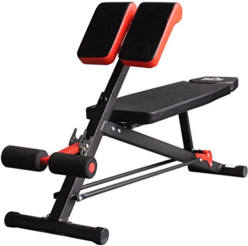 HOMCOM Banco de Mancuerna Inclinable con 4 Niveles de Altura Ajustable Banco de Pesas Musculación Multifuncional para Entrenamiento Completo 64x146x73.5-85cm