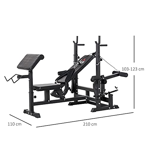 HOMCOM Banco de Pesas Ajustable Banco de Musculación Multifuncional con Respaldo Reclinable para Entrenamiento de Cuerpo Entero en Casa 210x110x103-123 cm Negro