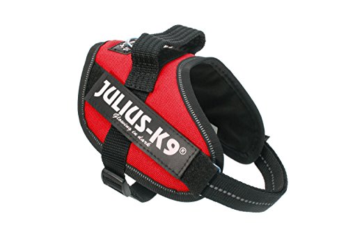 JULIUS-K9 Arnés JULIUS-K9 IDC, Mini-Mini/S, 40–53 cm/22 mm, Rojo, Perro