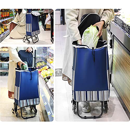 KHXJYC Supermercado Supermercado Compras Carrito Pequeño Trolley Carrito De Compras Portátil Portáaco Ancianos Carrito Carrito Escalera Escalera,#2