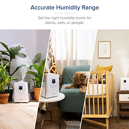 LEVOIT Humidificador Ultrasónico de Niebla fría y caliente de 6L para dormitorios y bebés con monitor remoto y de humedad, vaporizador para habitaciones grandes, hogar, libre de gérmenes y silencioso