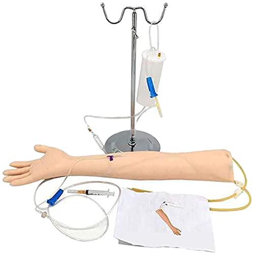 Modelo De Entrenamiento De Venipuntura, Kit De Práctica De Flebotomía Modelo De Inyección De Sangre, Brazo De Práctica Para Flebotomía Con Un Bolso De Almacenamiento