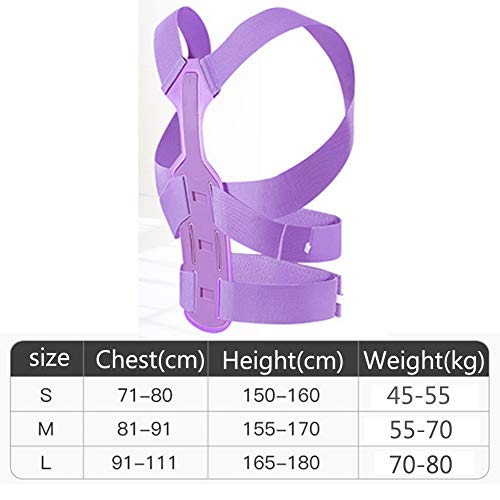 MOXIN Corrector De Postura Ajustable, Soporte para La Espalda con Cinturón De Corrección De Escoliosis Jorobado, Cifosis hacia Atrás Recta Y Mala Postura,Púrpura,L