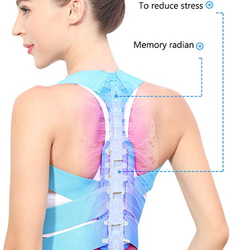 MOXIN Corrector De Postura Ajustable, Soporte para La Espalda con Cinturón De Corrección De Escoliosis Jorobado, Cifosis hacia Atrás Recta Y Mala Postura,Púrpura,L