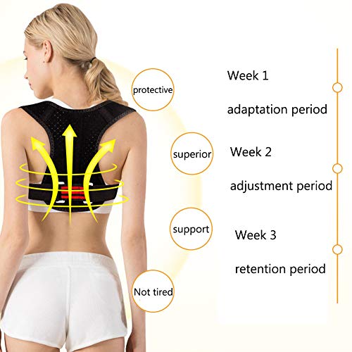 MOXIN Corrector De Postura para Niños Y Estudiantes, Respaldo con Cinturón De Corrección De Escoliosis Jorobado, con Férulas Fuertes para La Forma del Cuerpo Jorobado,XL