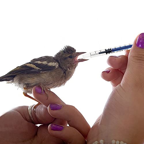 NA 30 jeringas de plástico de 1 ml con medición, sin aguja, adecuado para alimentar mascotas riego relleno (azul)